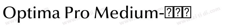 Optima Pro Medium字体转换